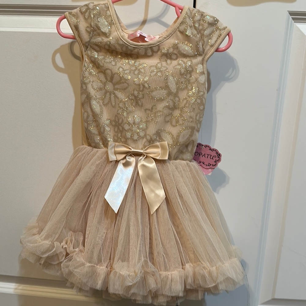 Popatu cream tulle crinoline skirt with glitter floral top